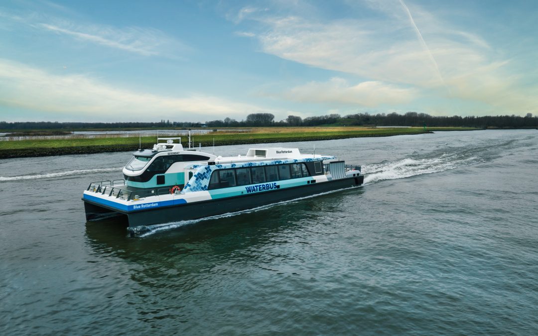So here they are: the long-awaited electric new water buses